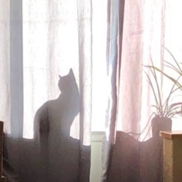 Meet your Posher, A'li - Picture 1 of 1